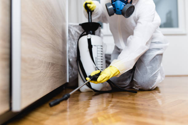 Best Insect Control  in Shenandoah Heights, PA