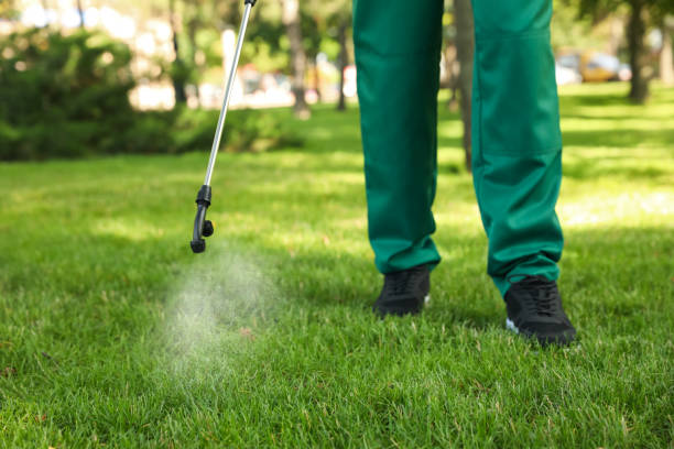 Best Pest Prevention Services  in Shenandoah Heights, PA