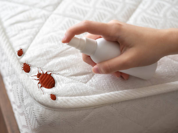 Best Bed Bug Extermination  in Shenandoah Heights, PA