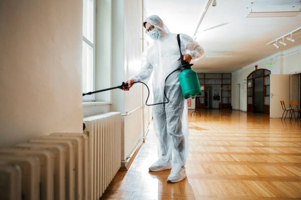 Best Affordable Pest Control Services  in Shenandoah Heights, PA