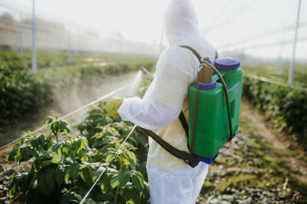 Shenandoah Heights, PA Pest Control Company